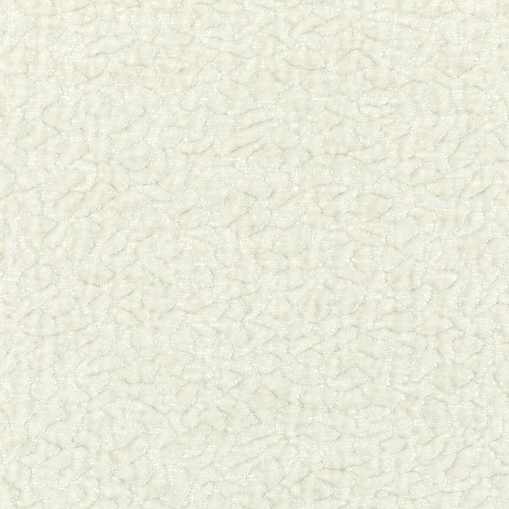 Barton Chenille Cloud by Kravet Smart Fabric POLYESTER - 100% India HEAVY Horizontal: 12 and Vertical: 4 54 - Fabric Carolina -