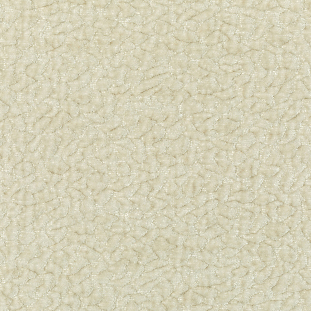 Barton Chenille Latte by Kravet Smart Fabric POLYESTER - 100% India HEAVY Horizontal: 12 and Vertical: 4 54 - Fabric Carolina -