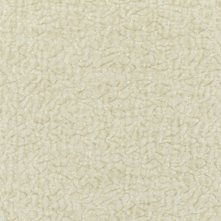 Barton Chenille Latte by Kravet Smart Fabric POLYESTER - 100% India HEAVY Horizontal: 12 and Vertical: 4 54 - Fabric Carolina -