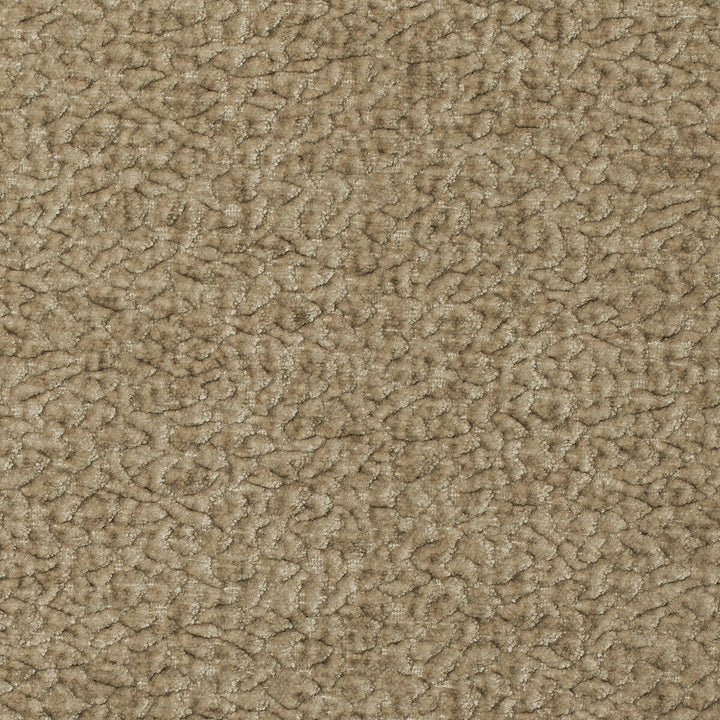 Barton Chenille Oat by Kravet Smart Designer Fabric POLYESTER - 100% India HEAVY Horizontal: 12 and Vertical: 4 54 - Swanky Fabrics -