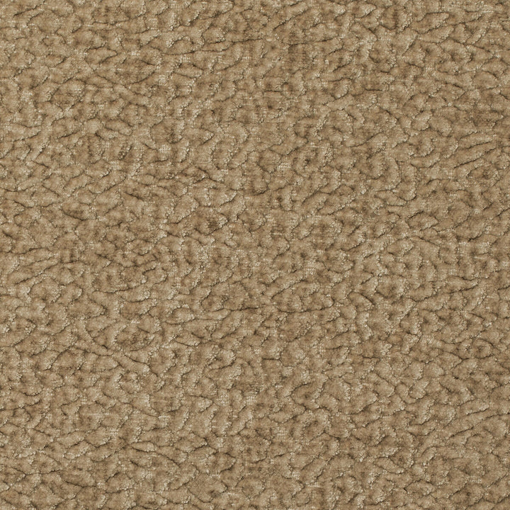 Barton Chenille Champagne by Kravet Smart Fabric POLYESTER - 100% India HEAVY Horizontal: 12 and Vertical: 4 54 - Fabric Carolina -