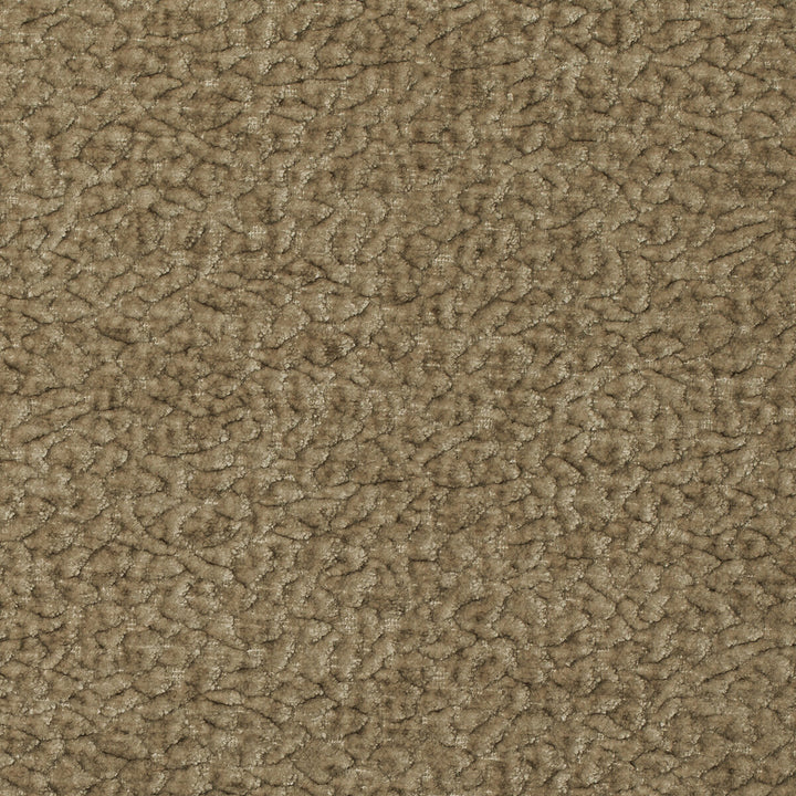 Barton Chenille Fossil by Kravet Smart Fabric POLYESTER - 100% India HEAVY Horizontal: 12 and Vertical: 4 54 - Fabric Carolina -