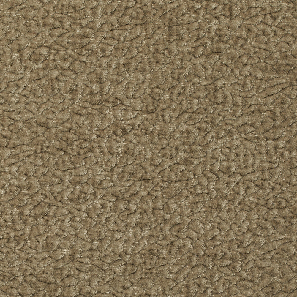 Barton Chenille Fossil by Kravet Smart Fabric POLYESTER - 100% India HEAVY Horizontal: 12 and Vertical: 4 54 - Fabric Carolina -