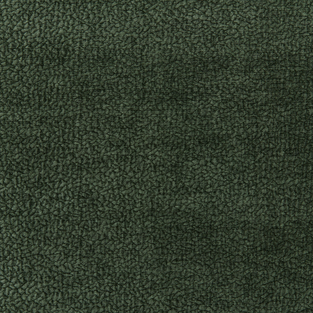 Barton Chenille - Moss By Kravet Smart Fabric