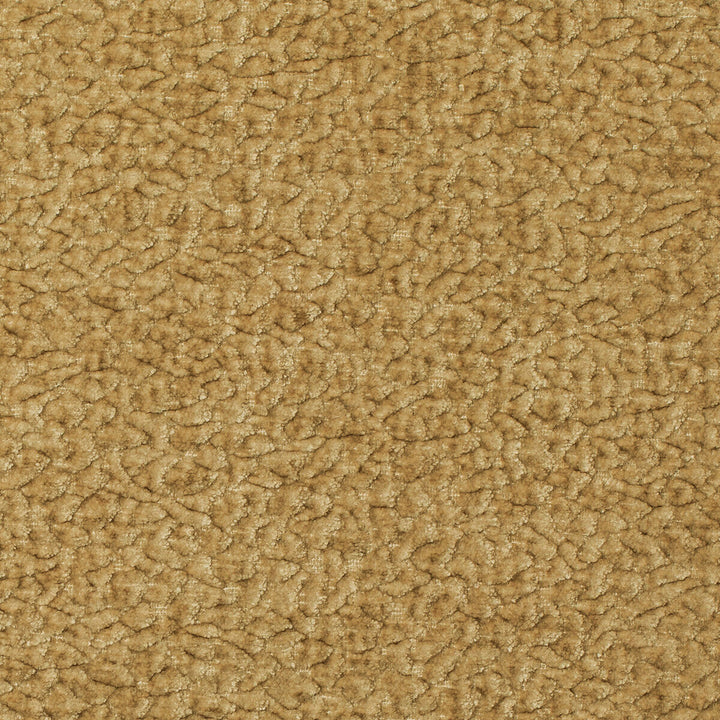 Barton Chenille Honey by Kravet Smart Fabric POLYESTER - 100% India HEAVY Horizontal: 12 and Vertical: 4 54 - Fabric Carolina -