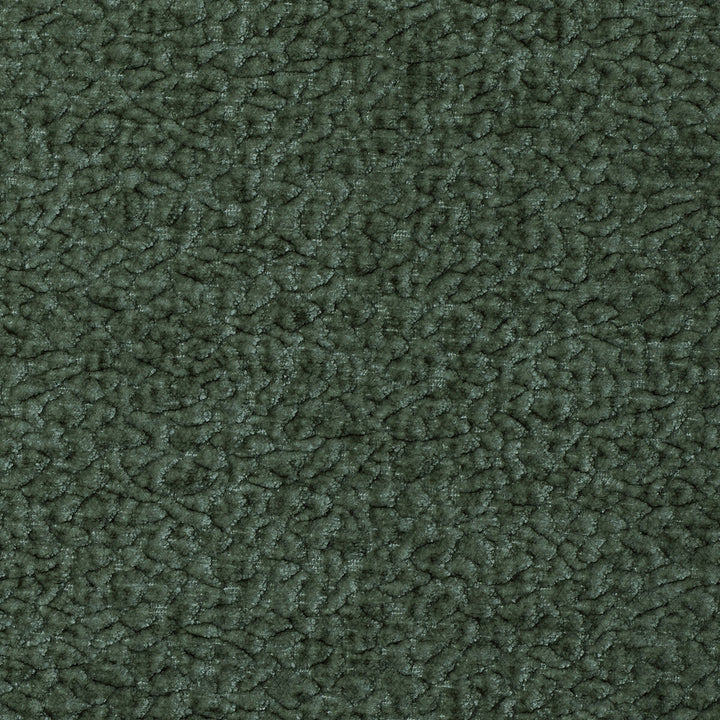 Barton Chenille Jungle by Kravet Smart Fabric POLYESTER - 100% India HEAVY Horizontal: 12 and Vertical: 4 54 - Fabric Carolina -