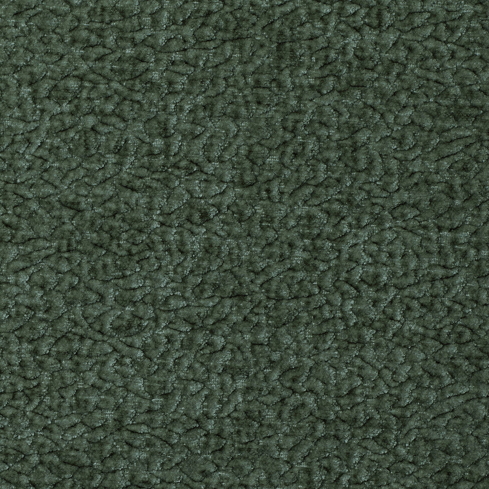 Barton Chenille Jungle by Kravet Smart Fabric POLYESTER - 100% India HEAVY Horizontal: 12 and Vertical: 4 54 - Fabric Carolina -