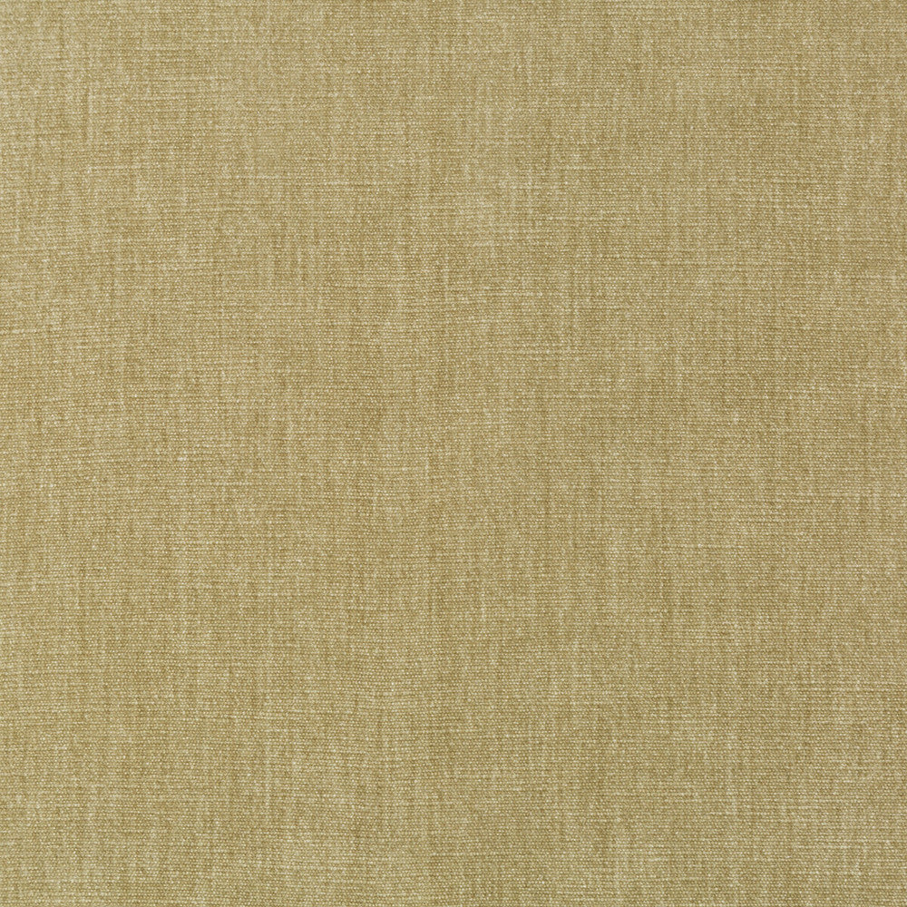 36076-106 by Kravet Smart Fabric PERFORMANCE KRAVETARMOR POLYESTER - 62%;COTTON - 38% India HEAVY Horizontal: 0 and Vertical: 0 54 - Fabric Carolina -