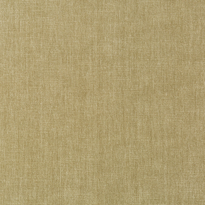 36076-106 by Kravet Smart Fabric PERFORMANCE KRAVETARMOR POLYESTER - 62%;COTTON - 38% India HEAVY Horizontal: 0 and Vertical: 0 54 - Fabric Carolina -