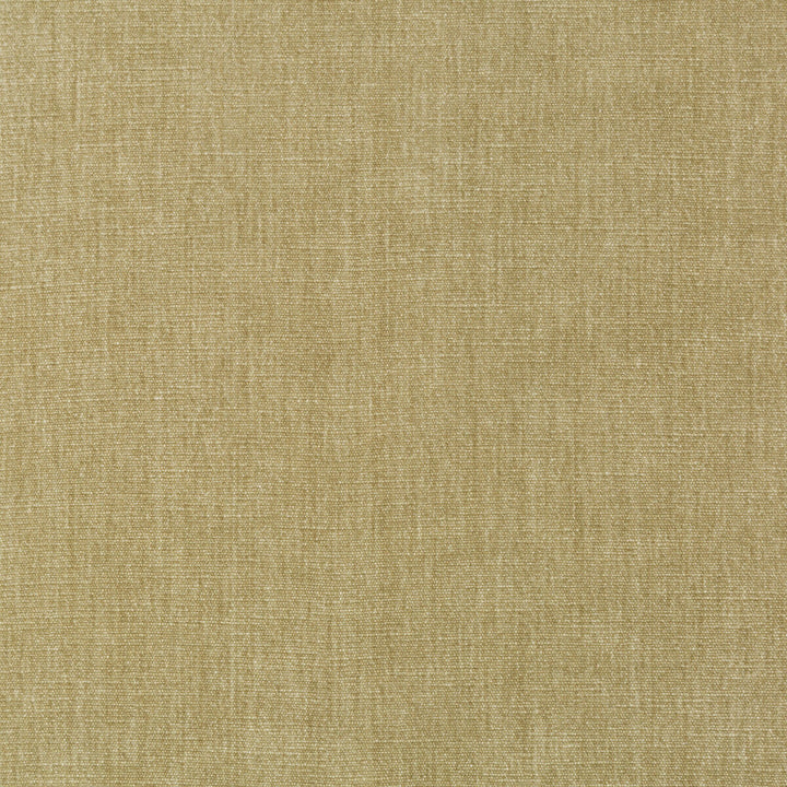 Kravet Smart 36076-106 by Kravet Smart Fabric Kravet Smart Fabric Kravet Smart 36076-106Fabric PERFORMANCE KRAVETARMOR POLYESTER - 62%;COTTON - 38% India </p><p>Repeat: H: 0, V: 0 54 - Fabric Carolina -
