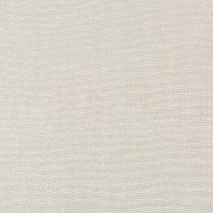 36076-1111 by Kravet Smart Fabric PERFORMANCE KRAVETARMOR POLYESTER - 62%;COTTON - 38% India HEAVY Horizontal: 0 and Vertical: 0 54 - Fabric Carolina -