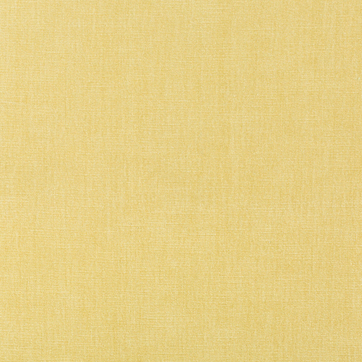 Kravet Smart 36076-1116 by Kravet Smart Fabric Kravet Smart Fabric Kravet Smart 36076-1116Fabric PERFORMANCE KRAVETARMOR POLYESTER - 62%;COTTON - 38% India </p><p>Repeat: H: 0, V: 0 54 - Fabric Carolina -