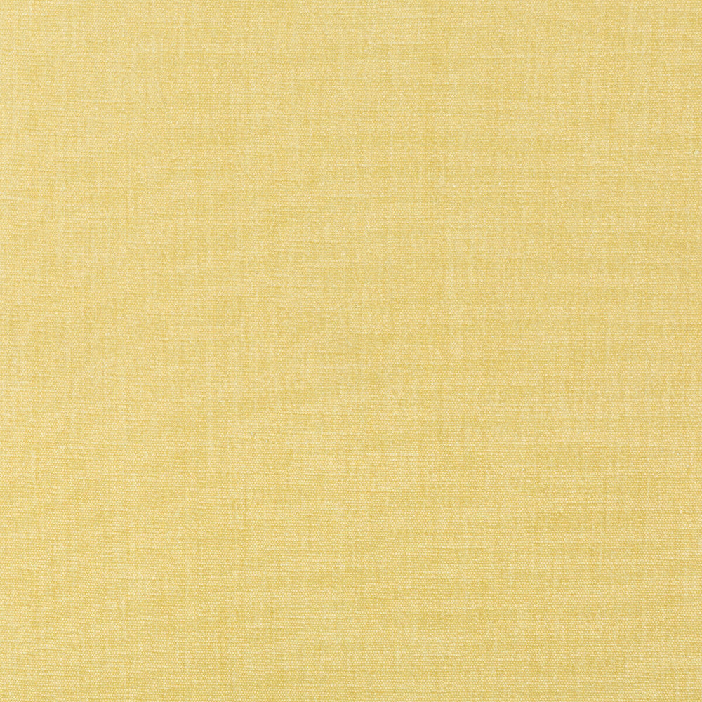 Kravet Smart 36076-1116 by Kravet Smart Fabric Kravet Smart Fabric Kravet Smart 36076-1116Fabric PERFORMANCE KRAVETARMOR POLYESTER - 62%;COTTON - 38% India </p><p>Repeat: H: 0, V: 0 54 - Fabric Carolina -