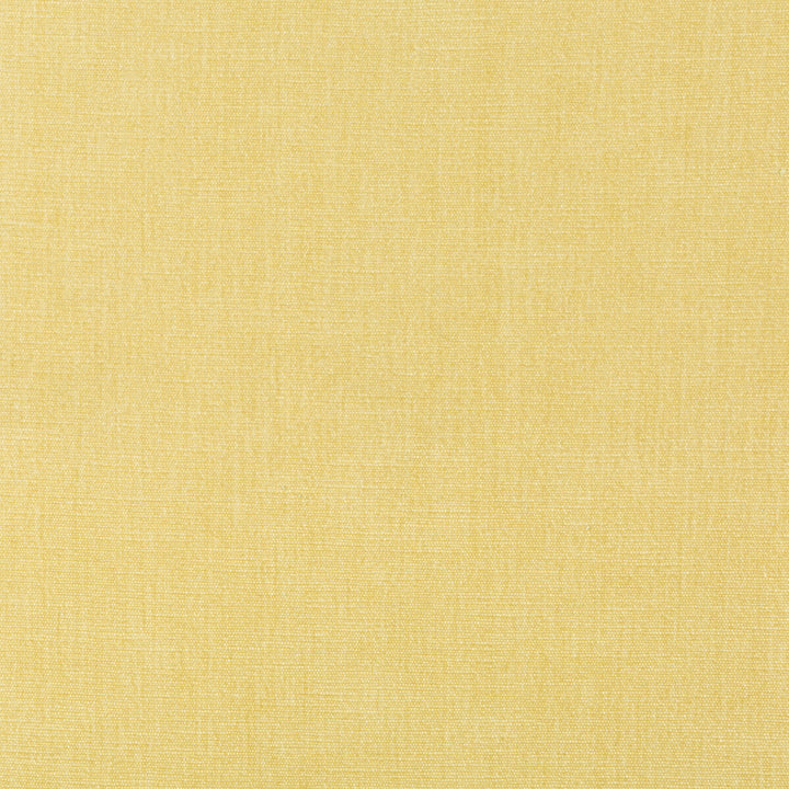 Kravet Smart 36076-1116 by Kravet Smart Fabric Kravet Smart Fabric Kravet Smart 36076-1116Fabric PERFORMANCE KRAVETARMOR POLYESTER - 62%;COTTON - 38% India </p><p>Repeat: H: 0, V: 0 54 - Fabric Carolina -