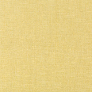 Kravet Smart 36076-1116 by Kravet Smart Fabric