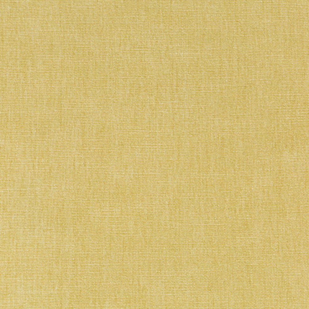 36076-116 by Kravet Smart Fabric PERFORMANCE KRAVETARMOR POLYESTER - 62%;COTTON - 38% India HEAVY Horizontal: 0 and Vertical: 0 54 - Fabric Carolina -