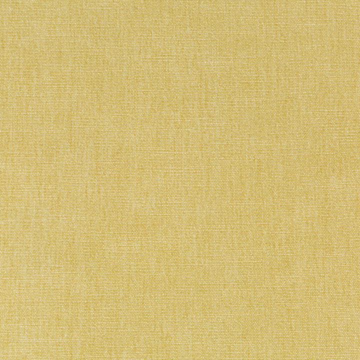 Kravet Smart 36076-116 by Kravet Smart Fabric Kravet Smart Fabric Kravet Smart 36076-116Fabric PERFORMANCE KRAVETARMOR POLYESTER - 62%;COTTON - 38% India </p><p>Repeat: H: 0, V: 0 54 - Fabric Carolina -