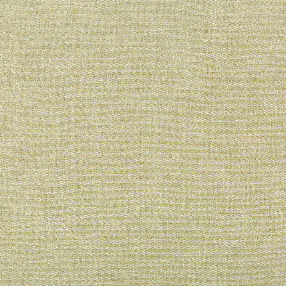36076-1611 by Kravet Smart Fabric PERFORMANCE KRAVETARMOR POLYESTER - 62%;COTTON - 38% India HEAVY Horizontal: 0 and Vertical: 0 54 - Fabric Carolina -