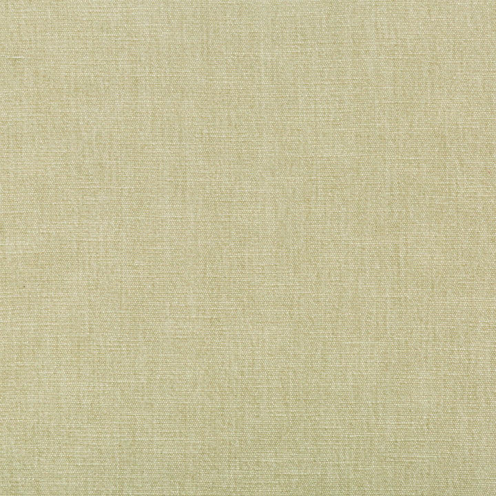 36076-1611 by Kravet Smart Fabric PERFORMANCE KRAVETARMOR POLYESTER - 62%;COTTON - 38% India HEAVY Horizontal: 0 and Vertical: 0 54 - Fabric Carolina -
