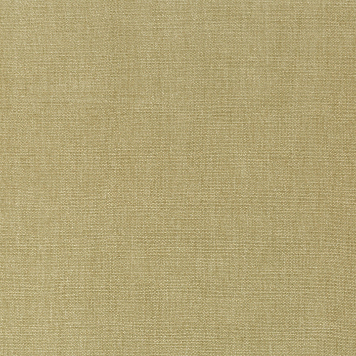 36076-1616 by Kravet Smart Designer Fabric PERFORMANCE KRAVETARMOR POLYESTER - 62%;COTTON - 38% India HEAVY Horizontal: 0 and Vertical: 0 54 - Swanky Fabrics -