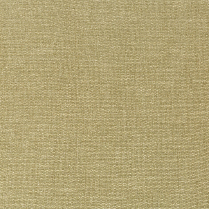 36076-1616 by Kravet Smart Fabric PERFORMANCE KRAVETARMOR POLYESTER - 62%;COTTON - 38% India HEAVY Horizontal: 0 and Vertical: 0 54 - Fabric Carolina -
