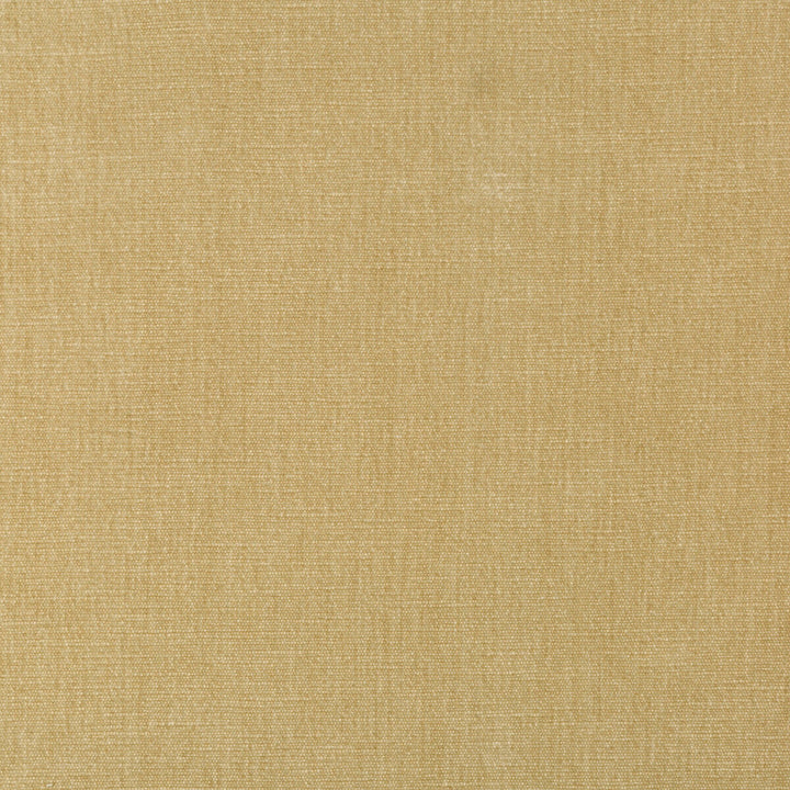 Kravet Smart 36076-161 by Kravet Smart Fabric Kravet Smart Fabric Kravet Smart 36076-161Fabric PERFORMANCE KRAVETARMOR POLYESTER - 62%;COTTON - 38% India </p><p>Repeat: H: 0, V: 0 54 - Fabric Carolina -