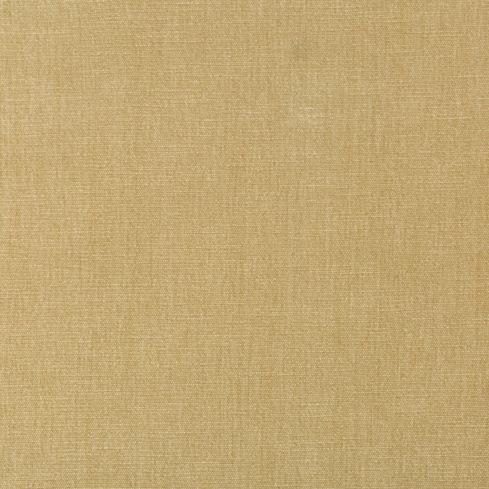 36076-161 by Kravet Smart Fabric PERFORMANCE KRAVETARMOR POLYESTER - 62%;COTTON - 38% India HEAVY Horizontal: 0 and Vertical: 0 54 - Fabric Carolina -