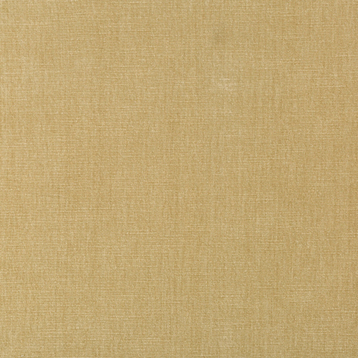 36076-161 by Kravet Smart Fabric PERFORMANCE KRAVETARMOR POLYESTER - 62%;COTTON - 38% India HEAVY Horizontal: 0 and Vertical: 0 54 - Fabric Carolina -