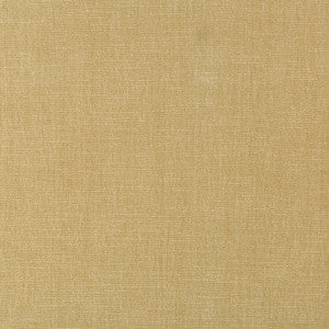 Kravet Smart 36076-161 by Kravet Smart Fabric