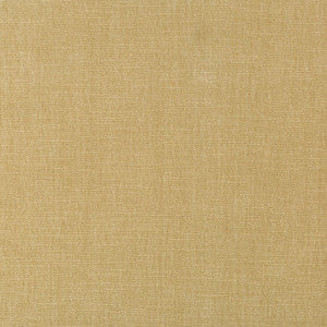 Kravet Smart 36076-161 by Kravet Smart Fabric
