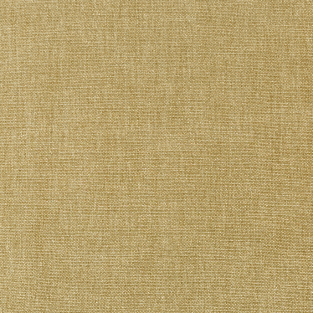 36076-16 by Kravet Smart Fabric PERFORMANCE KRAVETARMOR POLYESTER - 62%;COTTON - 38% India HEAVY Horizontal: 0 and Vertical: 0 54 - Fabric Carolina -