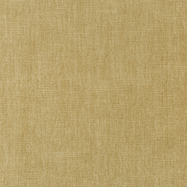 36076-16 by Kravet Smart Fabric PERFORMANCE KRAVETARMOR POLYESTER - 62%;COTTON - 38% India HEAVY Horizontal: 0 and Vertical: 0 54 - Fabric Carolina -