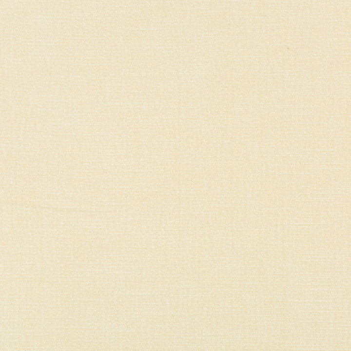 36076-1 by Kravet Smart Designer Fabric PERFORMANCE KRAVETARMOR POLYESTER - 62%;COTTON - 38% India HEAVY Horizontal: 0 and Vertical: 0 54 - Swanky Fabrics -