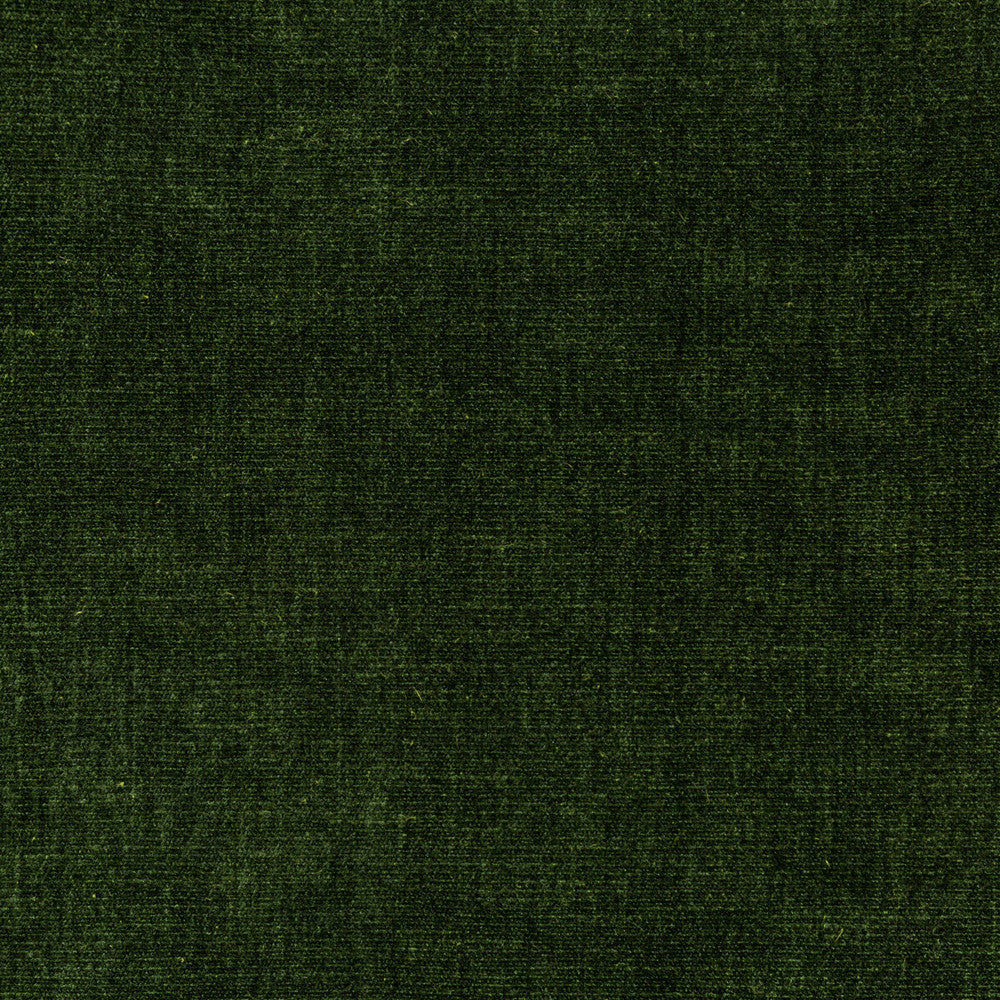 36076-30 by Kravet Smart Fabric PERFORMANCE KRAVETARMOR POLYESTER - 62%;COTTON - 38% India HEAVY Horizontal: 0 and Vertical: 0 54 - Fabric Carolina -