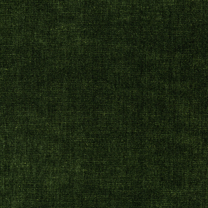 36076-30 by Kravet Smart Fabric PERFORMANCE KRAVETARMOR POLYESTER - 62%;COTTON - 38% India HEAVY Horizontal: 0 and Vertical: 0 54 - Fabric Carolina -