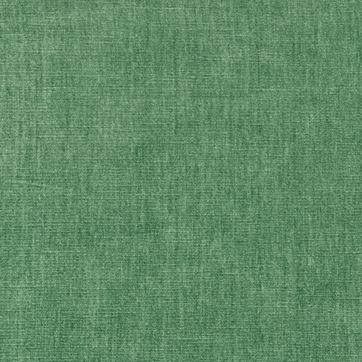 36076-313 by Kravet Smart Fabric PERFORMANCE KRAVETARMOR POLYESTER - 62%;COTTON - 38% India HEAVY Horizontal: 0 and Vertical: 0 54 - Fabric Carolina -
