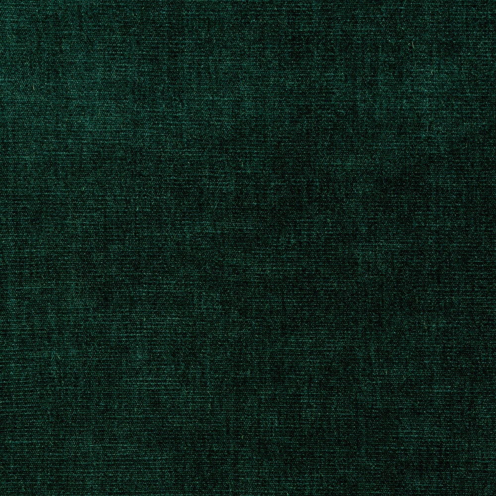 36076-35 by Kravet Smart Fabric PERFORMANCE KRAVETARMOR POLYESTER - 62%;COTTON - 38% India HEAVY Horizontal: 0 and Vertical: 0 54 - Fabric Carolina -