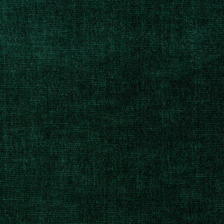 36076-35 by Kravet Smart Fabric PERFORMANCE KRAVETARMOR POLYESTER - 62%;COTTON - 38% India HEAVY Horizontal: 0 and Vertical: 0 54 - Fabric Carolina -
