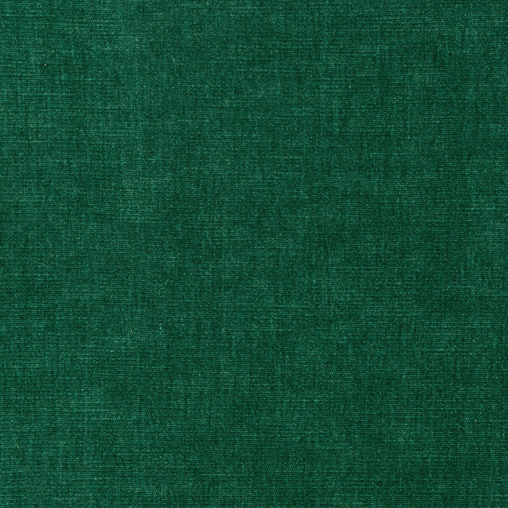 36076-3 by Kravet Smart Fabric PERFORMANCE KRAVETARMOR POLYESTER - 62%;COTTON - 38% India HEAVY Horizontal: 0 and Vertical: 0 54 - Fabric Carolina -