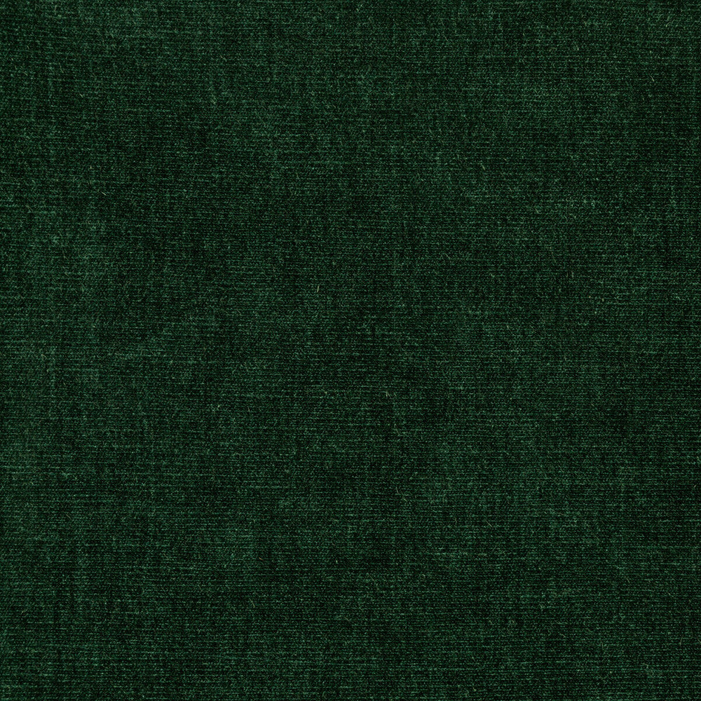 36076-53 by Kravet Smart Fabric PERFORMANCE KRAVETARMOR POLYESTER - 62%;COTTON - 38% India HEAVY Horizontal: 0 and Vertical: 0 54 - Fabric Carolina -