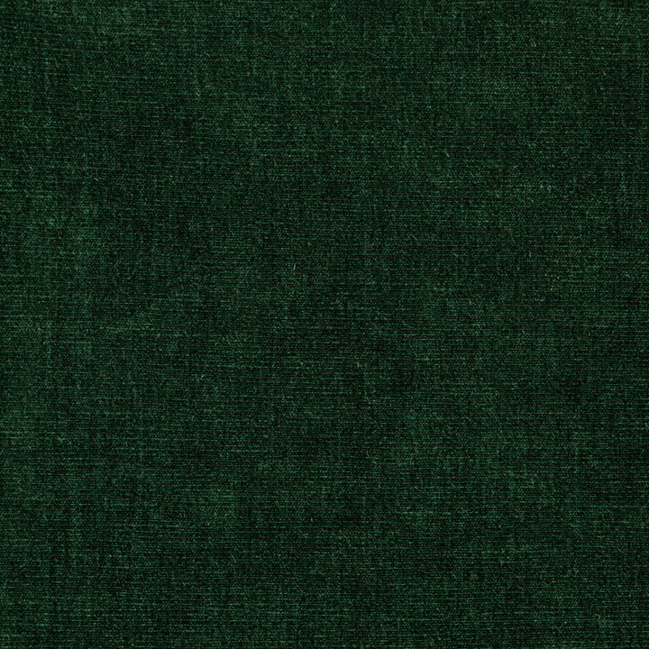 36076-53 by Kravet Smart Fabric PERFORMANCE KRAVETARMOR POLYESTER - 62%;COTTON - 38% India HEAVY Horizontal: 0 and Vertical: 0 54 - Fabric Carolina -