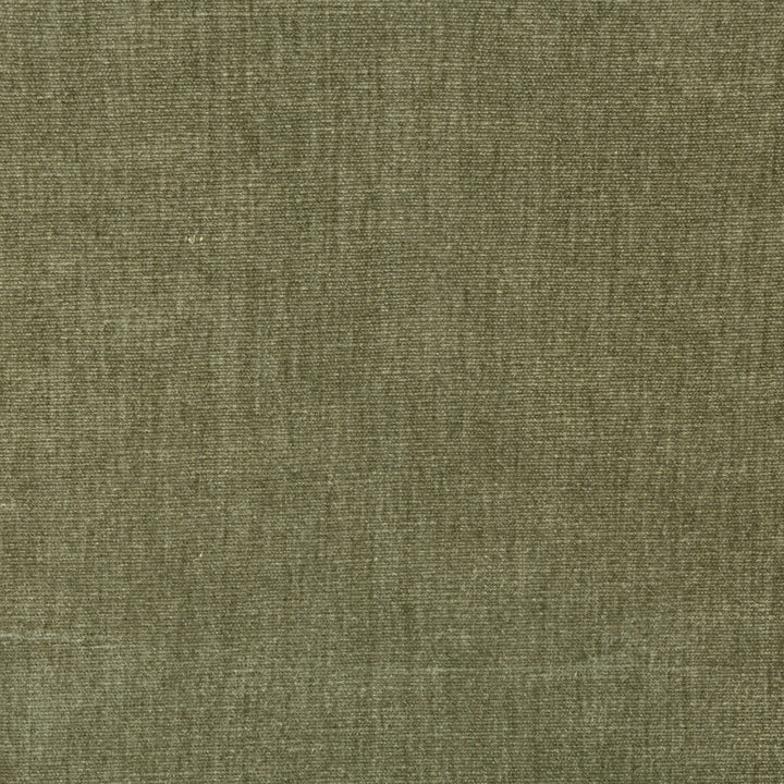 Kravet Smart 36076-606 by Kravet Smart Fabric Kravet Smart Fabric Kravet Smart 36076-606Fabric PERFORMANCE KRAVETARMOR POLYESTER - 62%;COTTON - 38% India </p><p>Repeat: H: 0, V: 0 54 - Fabric Carolina -