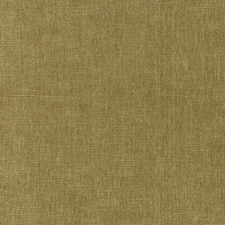 36076-616 by Kravet Smart Fabric PERFORMANCE KRAVETARMOR POLYESTER - 62%;COTTON - 38% India HEAVY Horizontal: 0 and Vertical: 0 54 - Fabric Carolina -