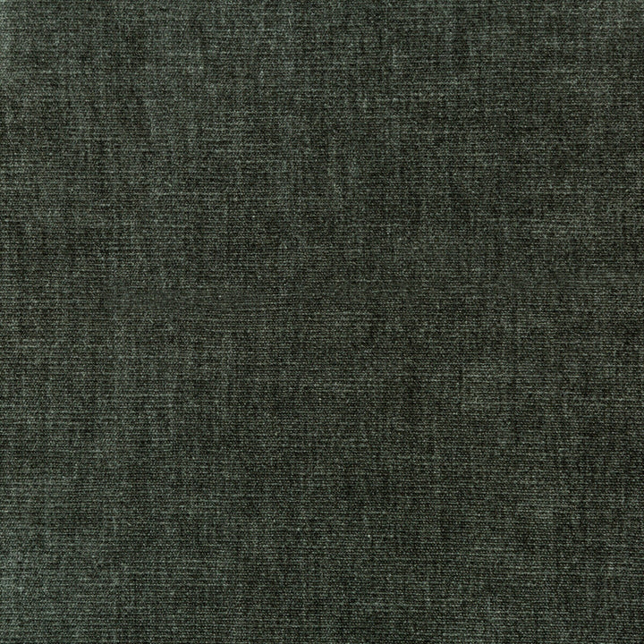 36076-811 by Kravet Smart Fabric PERFORMANCE KRAVETARMOR POLYESTER - 62%;COTTON - 38% India HEAVY Horizontal: 0 and Vertical: 0 54 - Fabric Carolina -