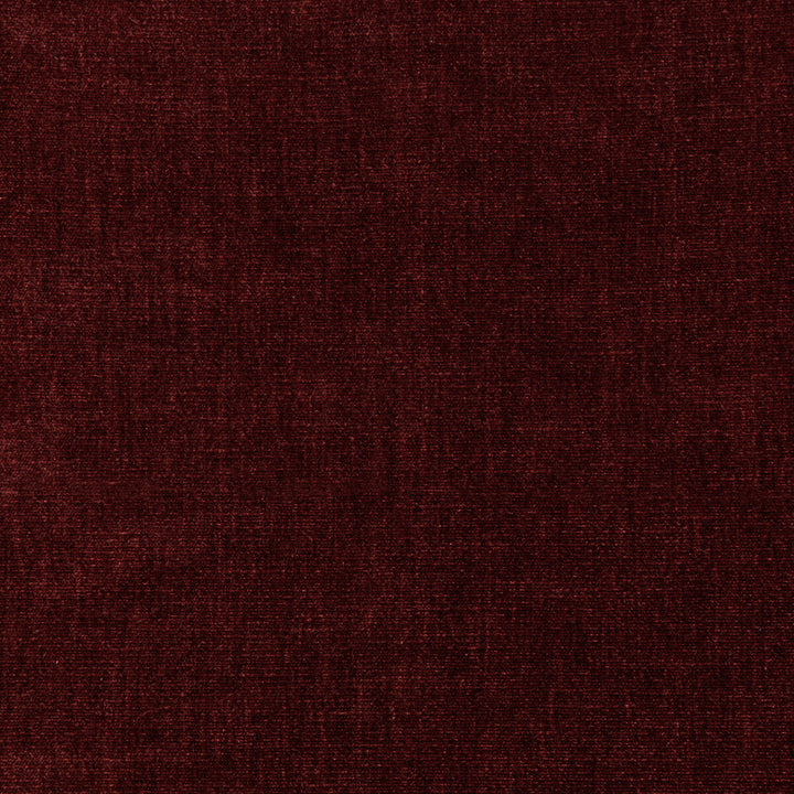 36076-9 by Kravet Smart Fabric PERFORMANCE KRAVETARMOR POLYESTER - 62%;COTTON - 38% India HEAVY Horizontal: 0 and Vertical: 0 54 - Fabric Carolina -