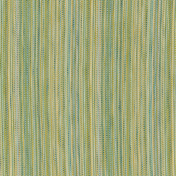 36077-315 by Kravet Design Fabric INSIDE OUT PERFORMANCE FABRICS POLYESTER - 100% United States HEAVY Horizontal: 0.23 and Vertical: 8.63 55.25 - Fabric Carolina -