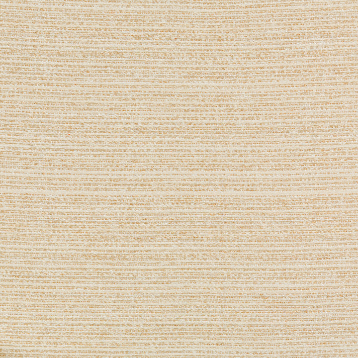 36079-161 by Kravet Design Fabric INSIDE OUT PERFORMANCE FABRICS OLEFIN - 55%;POLYESTER - 45% United States HEAVY Horizontal: 0 and Vertical: 0 56.25 - Fabric Carolina -