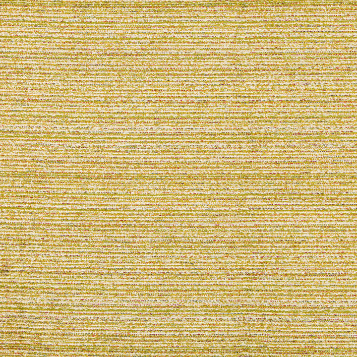 36079-34 by Kravet Design Fabric INSIDE OUT PERFORMANCE FABRICS OLEFIN - 55%;POLYESTER - 45% United States HEAVY Horizontal: 0 and Vertical: 0 56.25 - Fabric Carolina -
