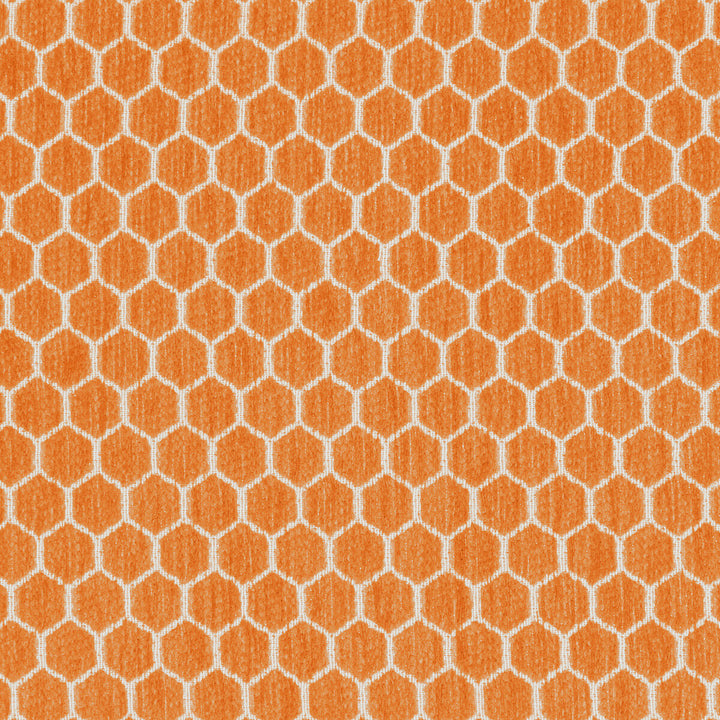 Kravet Design 36081-12 by Kravet Design Fabric Kravet Design Fabric Kravet Design 36081-12Fabric INSIDE OUT PERFORMANCE FABRICS POLYESTER - 100% United States </p><p>Repeat: H: 1.25, V: 0.69 57 - Fabric Carolina -