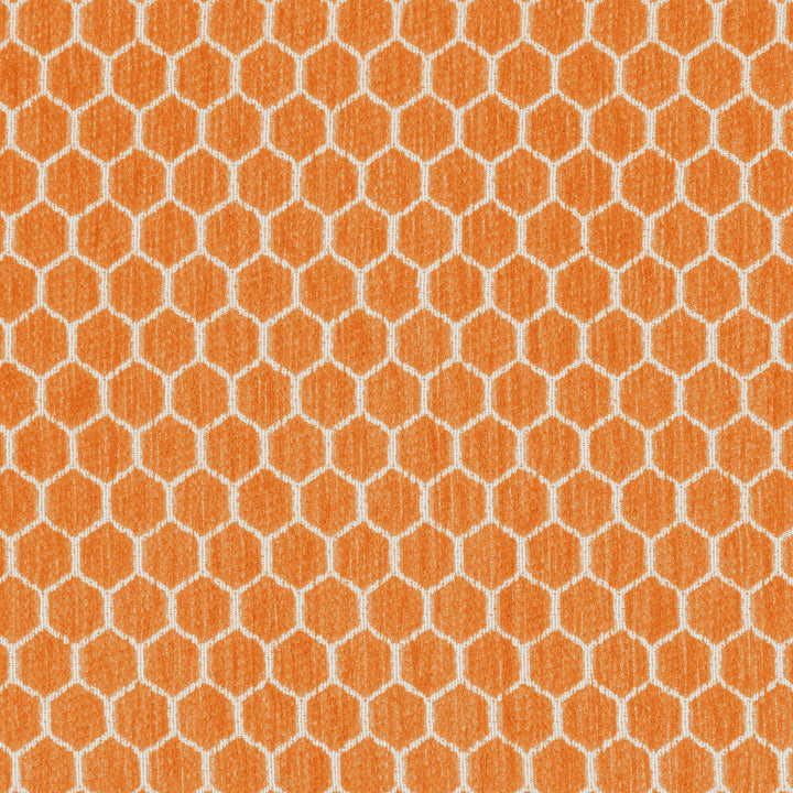 Kravet Design 36081-12 by Kravet Design Fabric Kravet Design Fabric Kravet Design 36081-12Fabric INSIDE OUT PERFORMANCE FABRICS POLYESTER - 100% United States </p><p>Repeat: H: 1.25, V: 0.69 57 - Fabric Carolina -